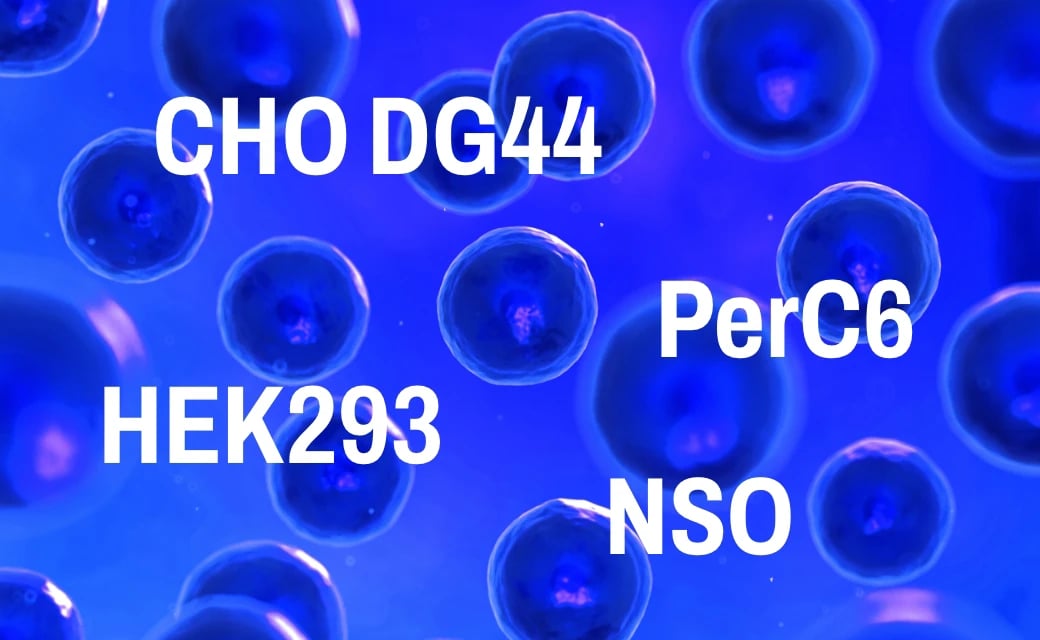 Mammalian Manufacturing | Cell Culture Development | Biopharmaceutical