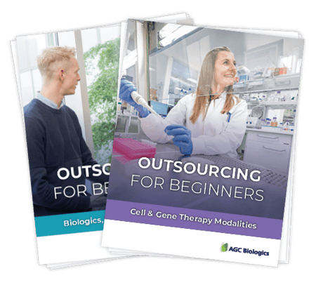 Outsourcing for beginners - both ebooks download graphic