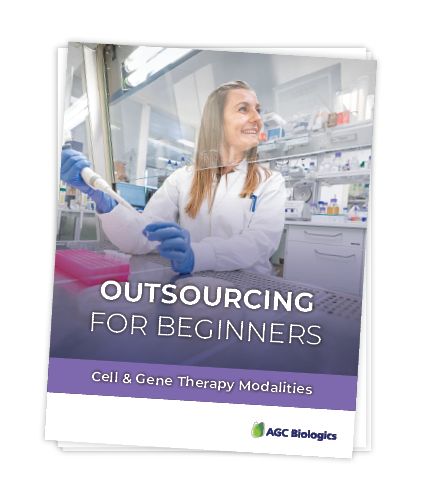 ebook- CGT outsourcing for beginners - download graphic