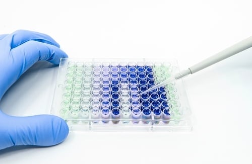 cell line development plate